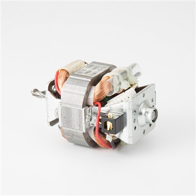 110V-230V Bldc motor za sušilo za kosu s konkurentnom cijenom